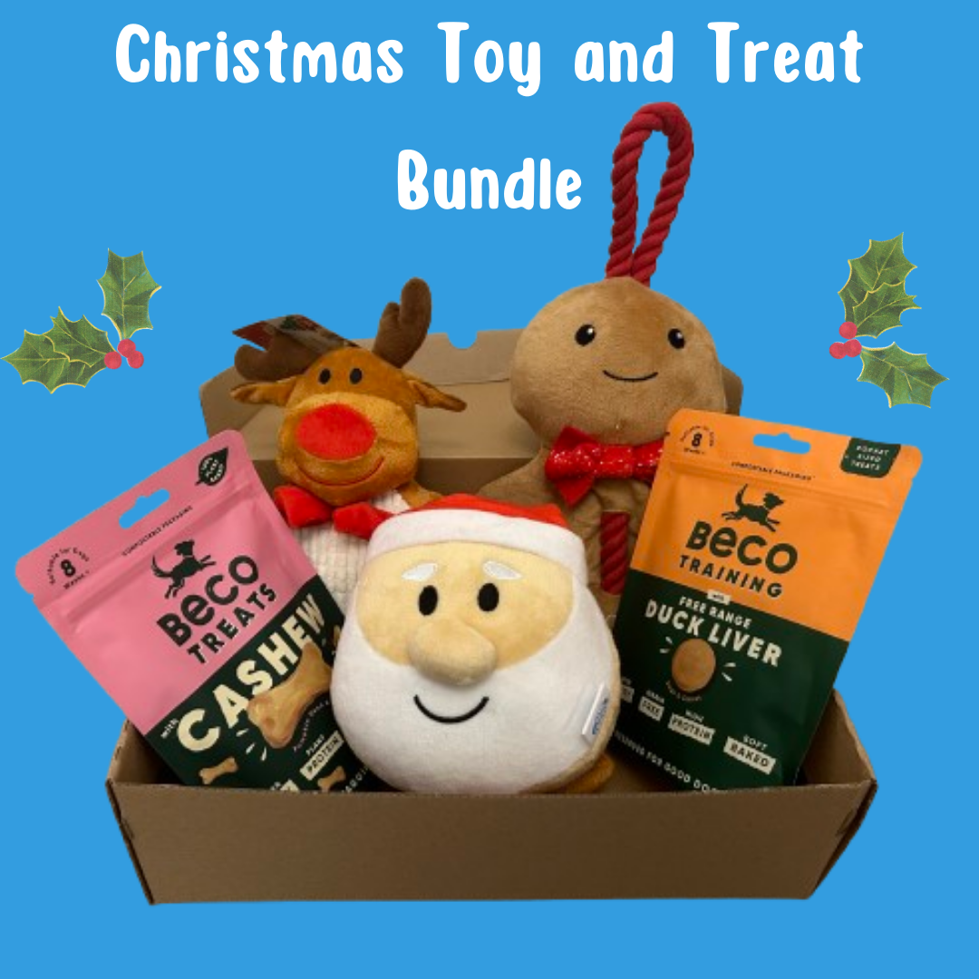 Dog Christmas Toy and Treat Bundle (Mystery Box) My Bark Bundle