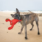 Kong Lobster Dog Toy Medium. Squeaky, Floating Dog Toy