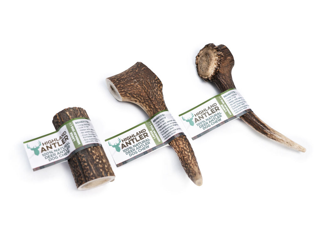 Highland Deer Antler Dog Chew