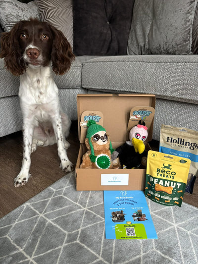 2 Treats and 2 Toys Bundle (Mystery Box)
