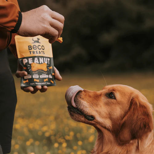 Natural Dog Treats and Chews