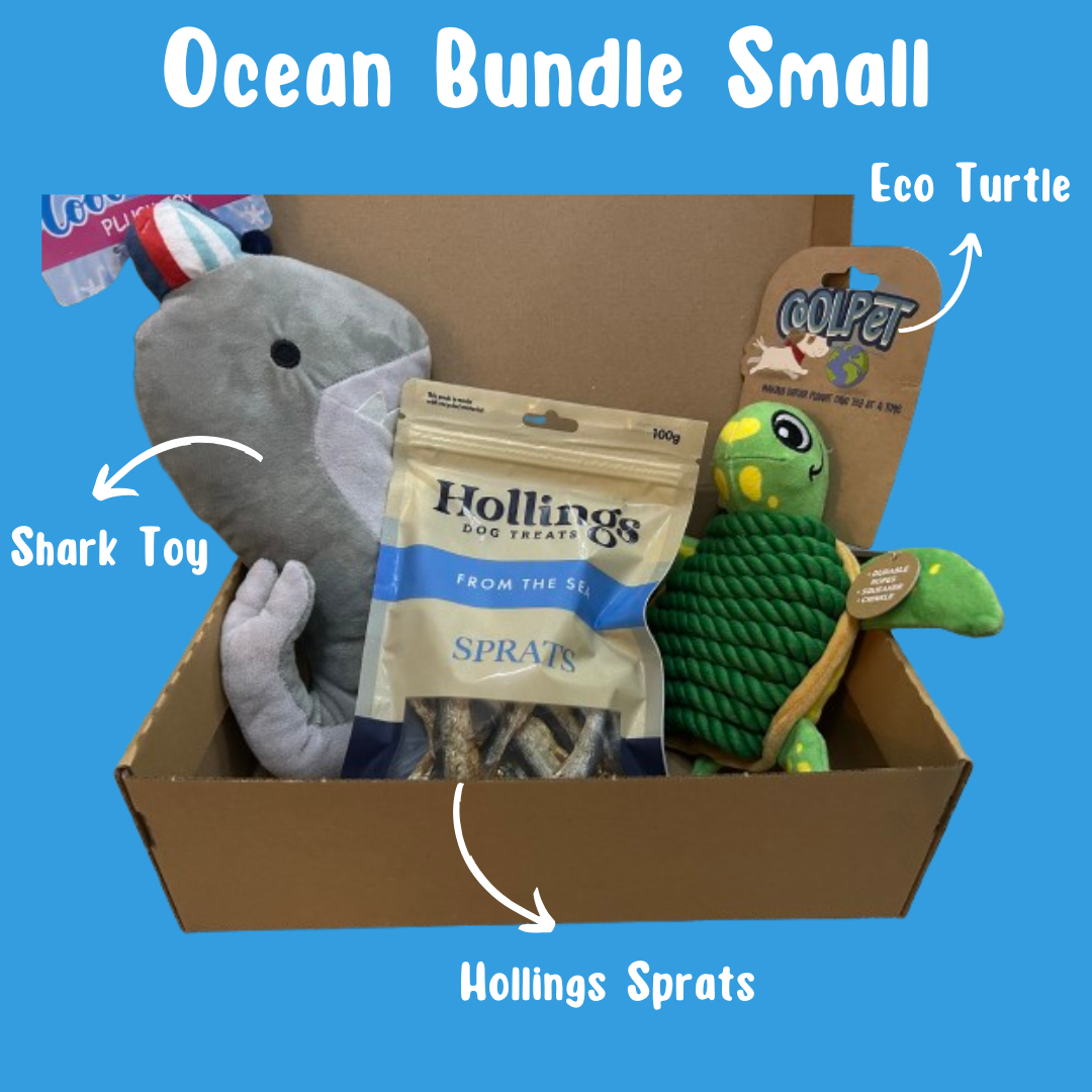 Ocean Dog Toy and Treat Bundle