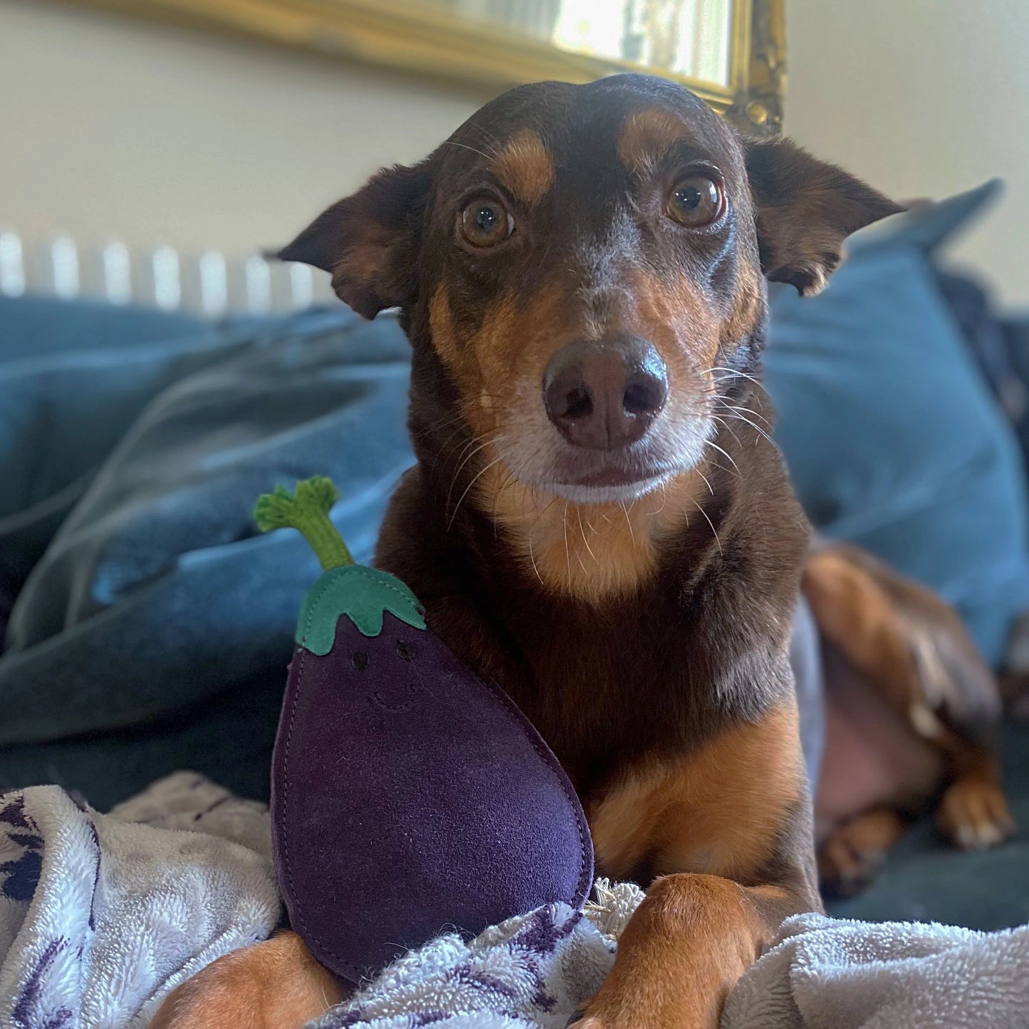 Austin the Aubergine, Eco Toy