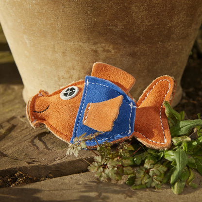 Goldie The Goldfish, Eco Toy