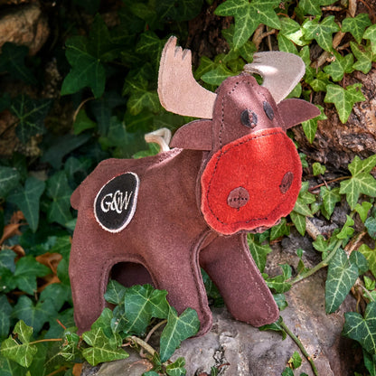 Rudy the Reindeer, Eco Toy