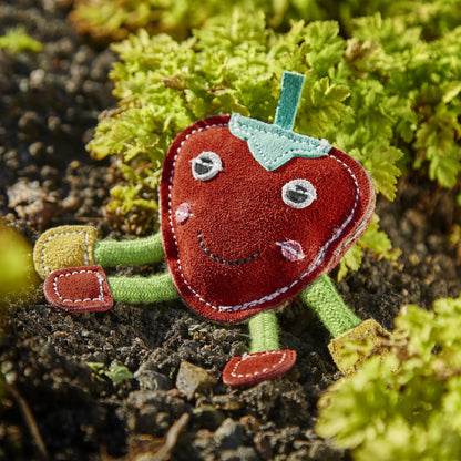 Steve the Strawberry, Eco Toy