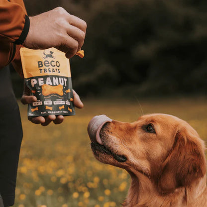 Beco Peanut with Coconut and Turmeric Treats