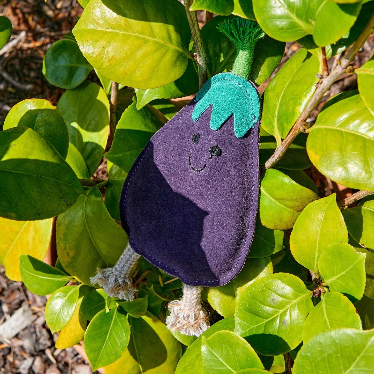 Austin the Aubergine, Eco Toy