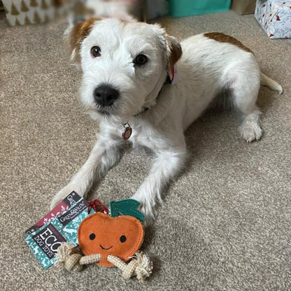 Sancho the Satsuma, Eco Toy