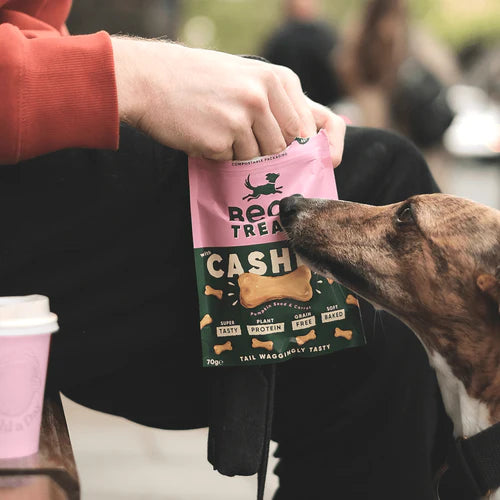 Beco Cashew with Pumpkin Seed & Carrot Treats