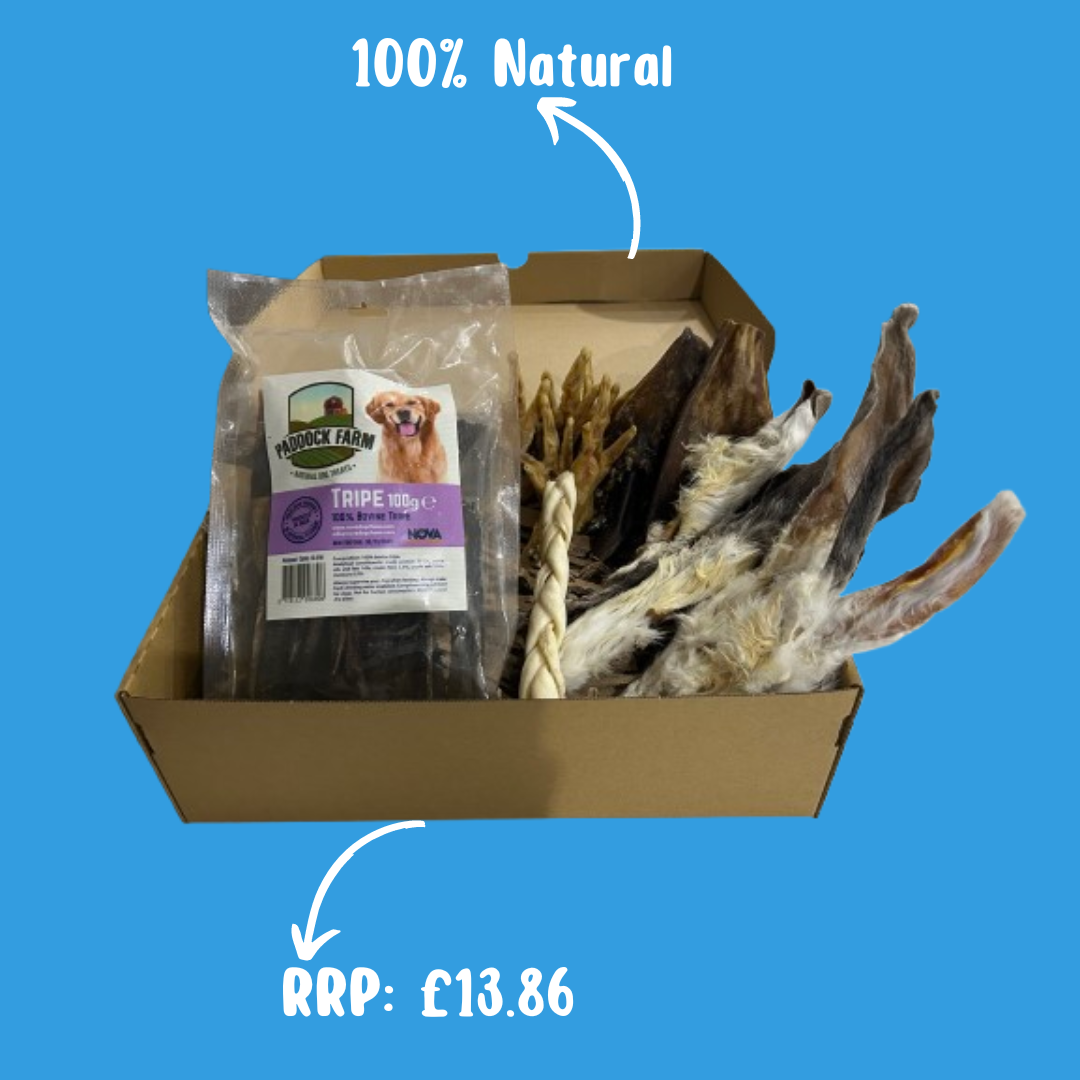 Natural Dog Treat Bundle