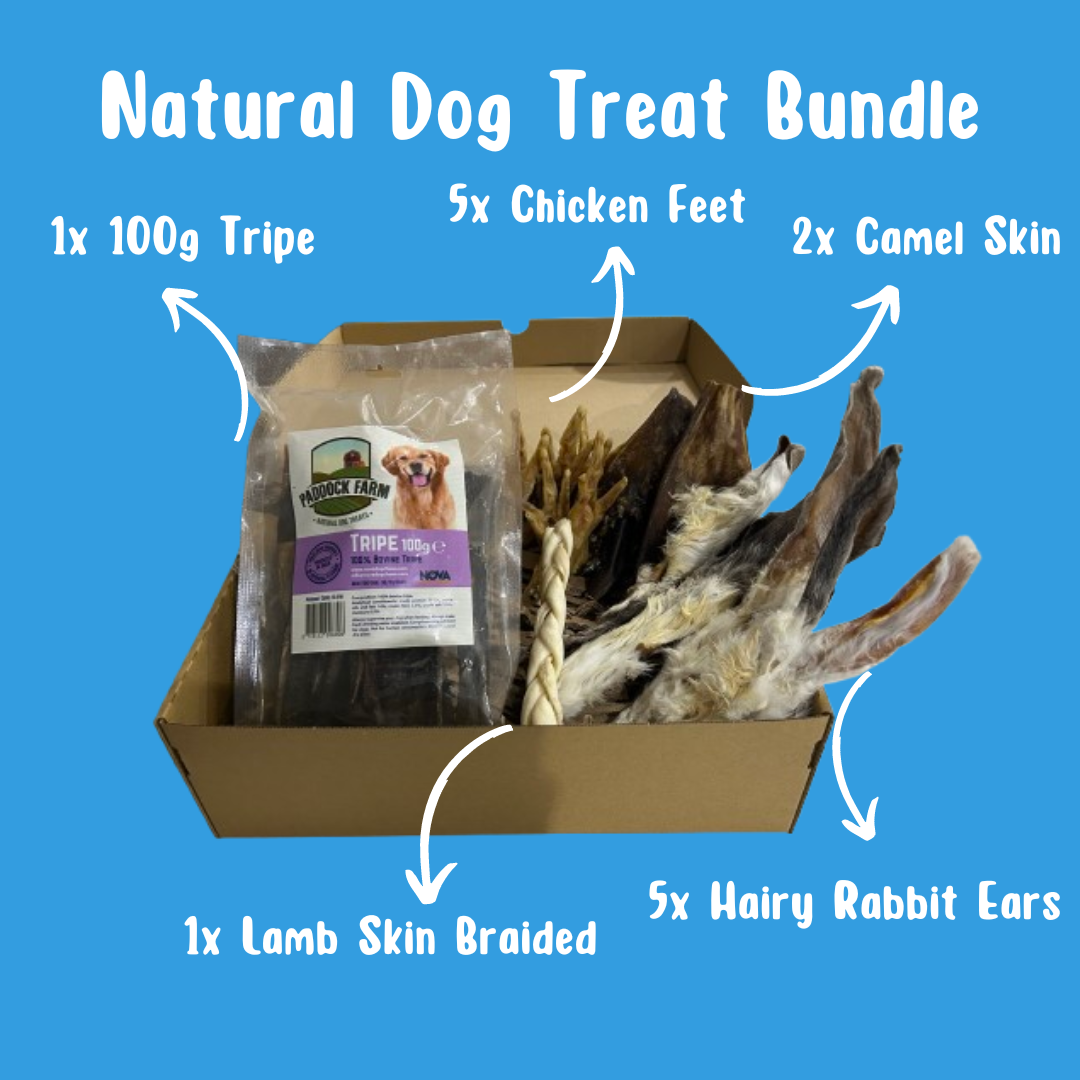 Natural Dog Treat Bundle