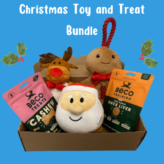 Dog Christmas Toy and Treat Bundle