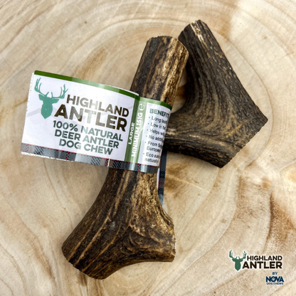 Highland Deer Antler Dog Chew