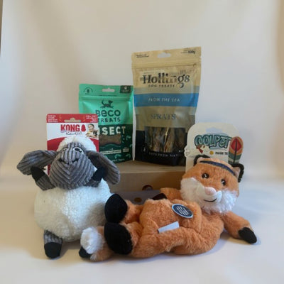 2 Treats and 2 Toys Bundle (Mystery Box)