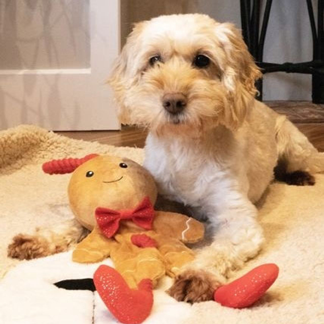 George the Gingerbread Man Dog Toy Large