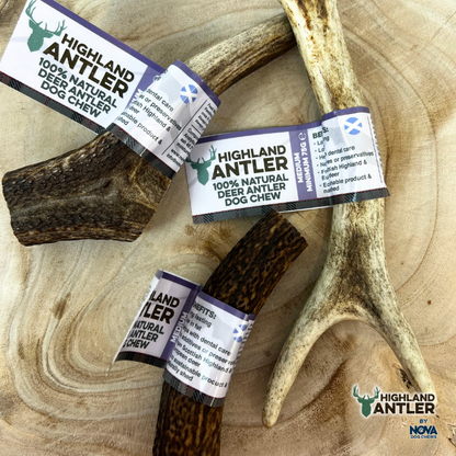 Highland Deer Antler Dog Chew