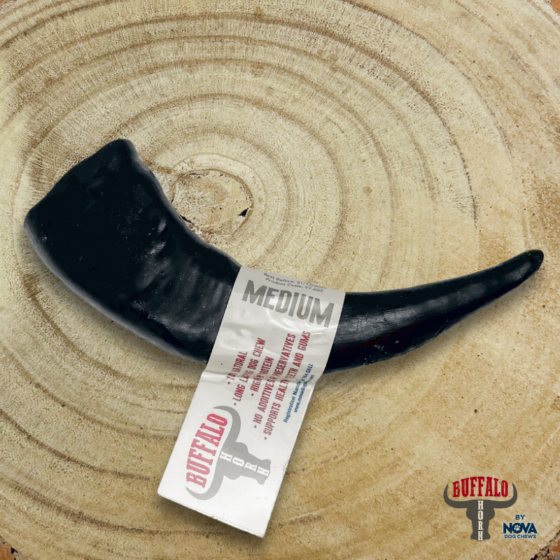 Buffalo Horn Medium