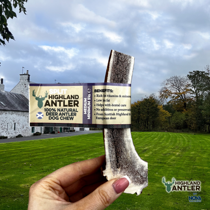 Highland Antler Dog Chew SPLIT