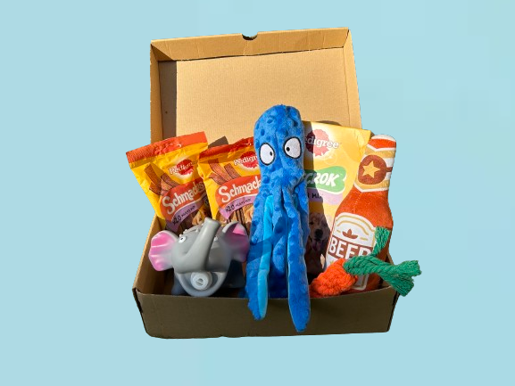 Large Toy and Treat Bark Bundle (Mystery Box)