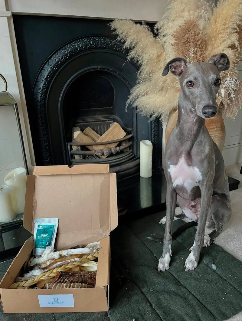 Natural Dog Treat Bundle (Mystery Box) 30+ Pieces! My Bark Bundle