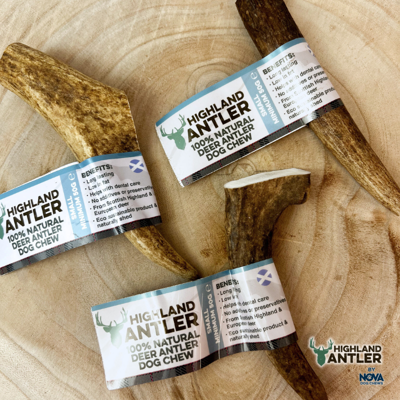 Highland Deer Antler Dog Chew