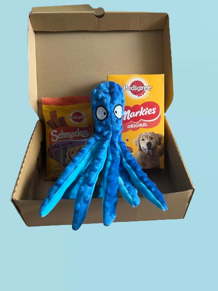 Small Dog Toy and Treat Bark Bundle (Mystery Box)